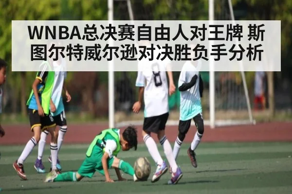 WNBA总决赛自由人对王牌 斯图尔特威尔逊对决胜负手分析